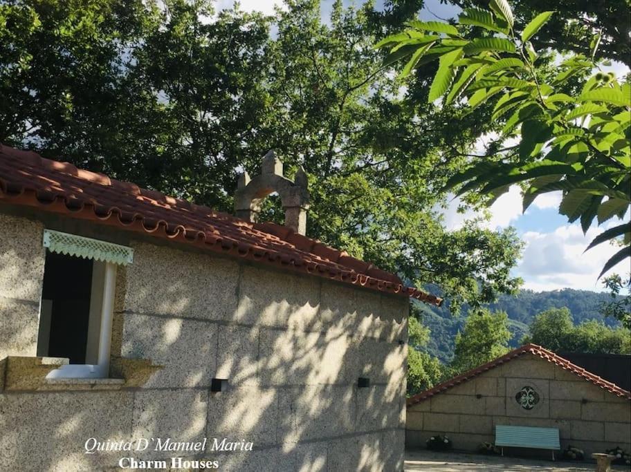 Amarante-Quinta D'Manuel Maria, Rural Charm Houses Екстер'єр фото
